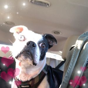 Meet your Posher, Mary